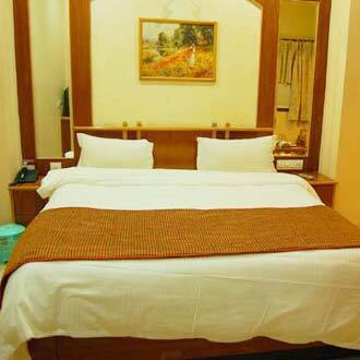 Hotel Kalinga Palace, Barmer 3